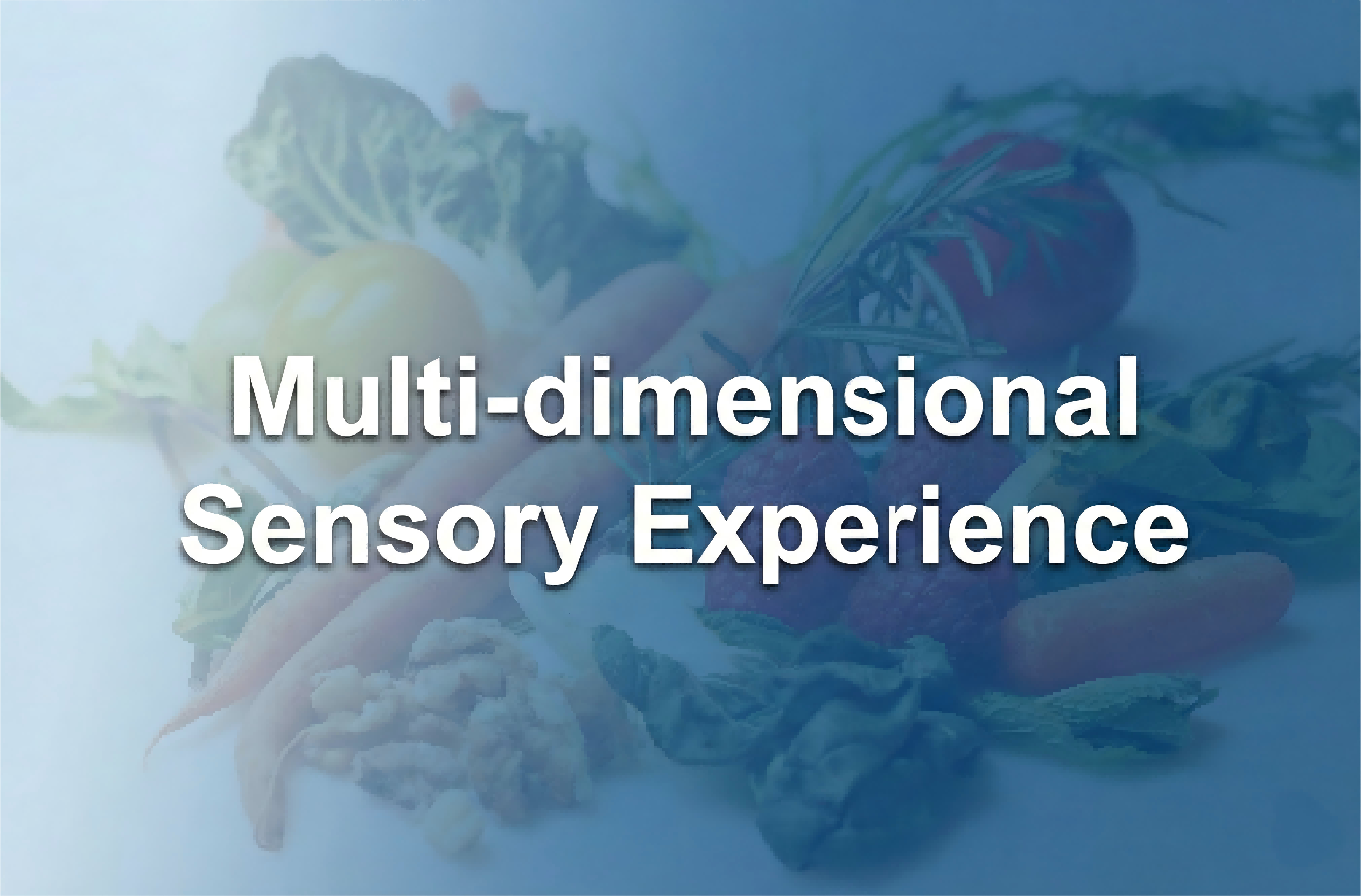 Multi-dimensional Sensory Experience